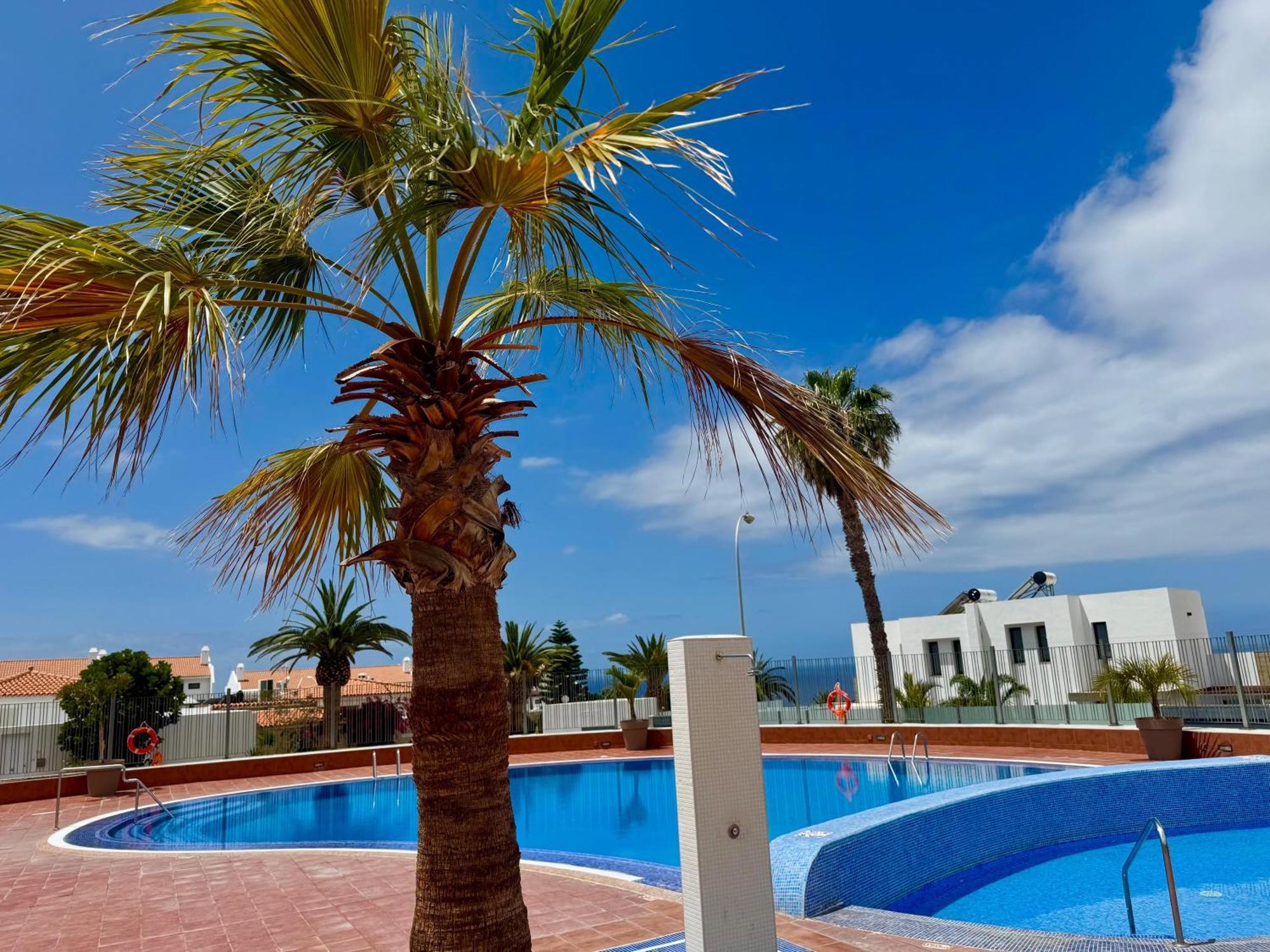 Stunning Apartments With Pool Tenerife Costa Adeje  Exterior photo