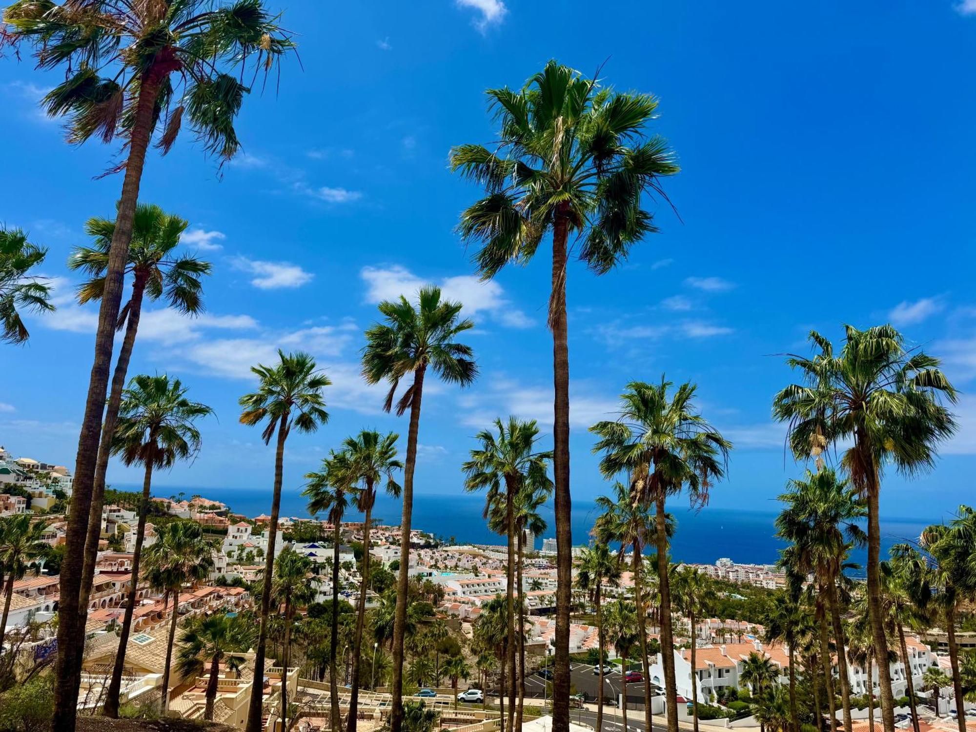 Stunning Apartments With Pool Tenerife Costa Adeje  Exterior photo
